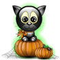 Le chat sur une citrouille