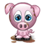 Le cochon
