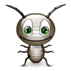 l'insecte