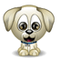 le chien