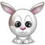 le petit lapin